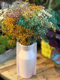 Dry flowers in vase