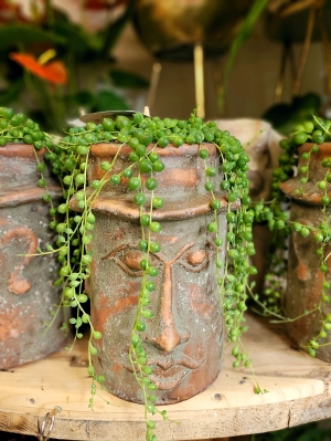 String of Pearls with a Pot