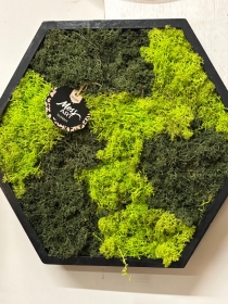 Moss art